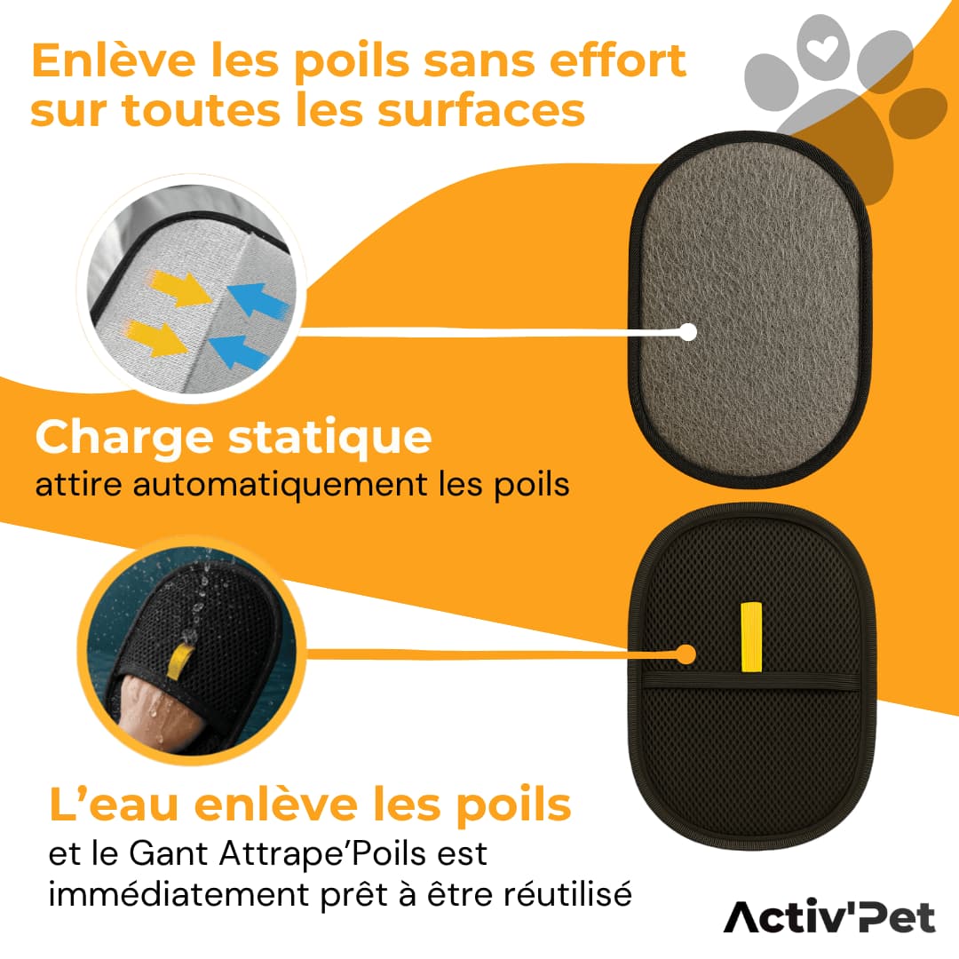Gant Attrape'Poils