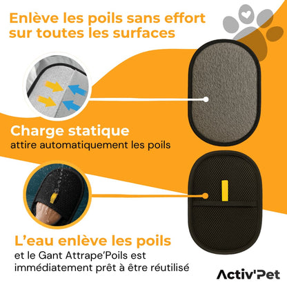 Gant Attrape'Poils