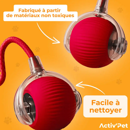 MagicBall Activ’Pet - Notre Bestseller
