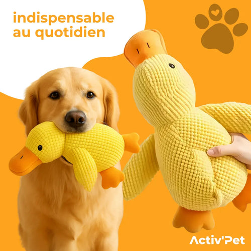 Canard anti-stress