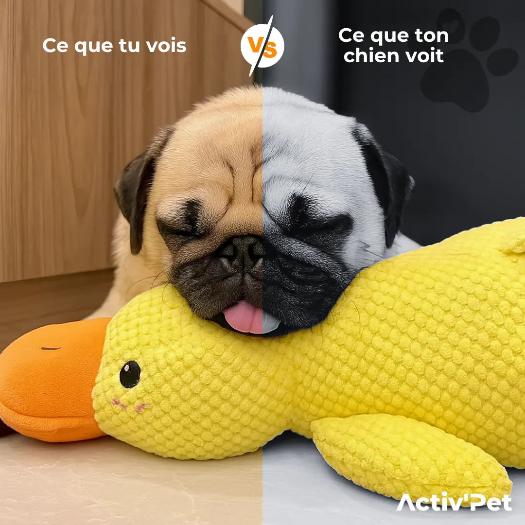 Canard anti-stress