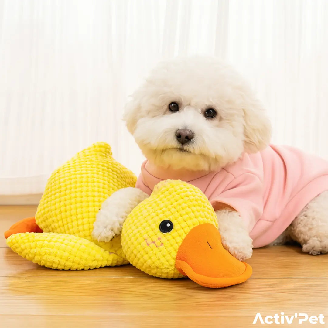 Canard anti-stress