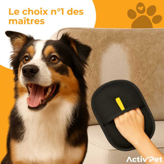 Gant Attrape'Poils