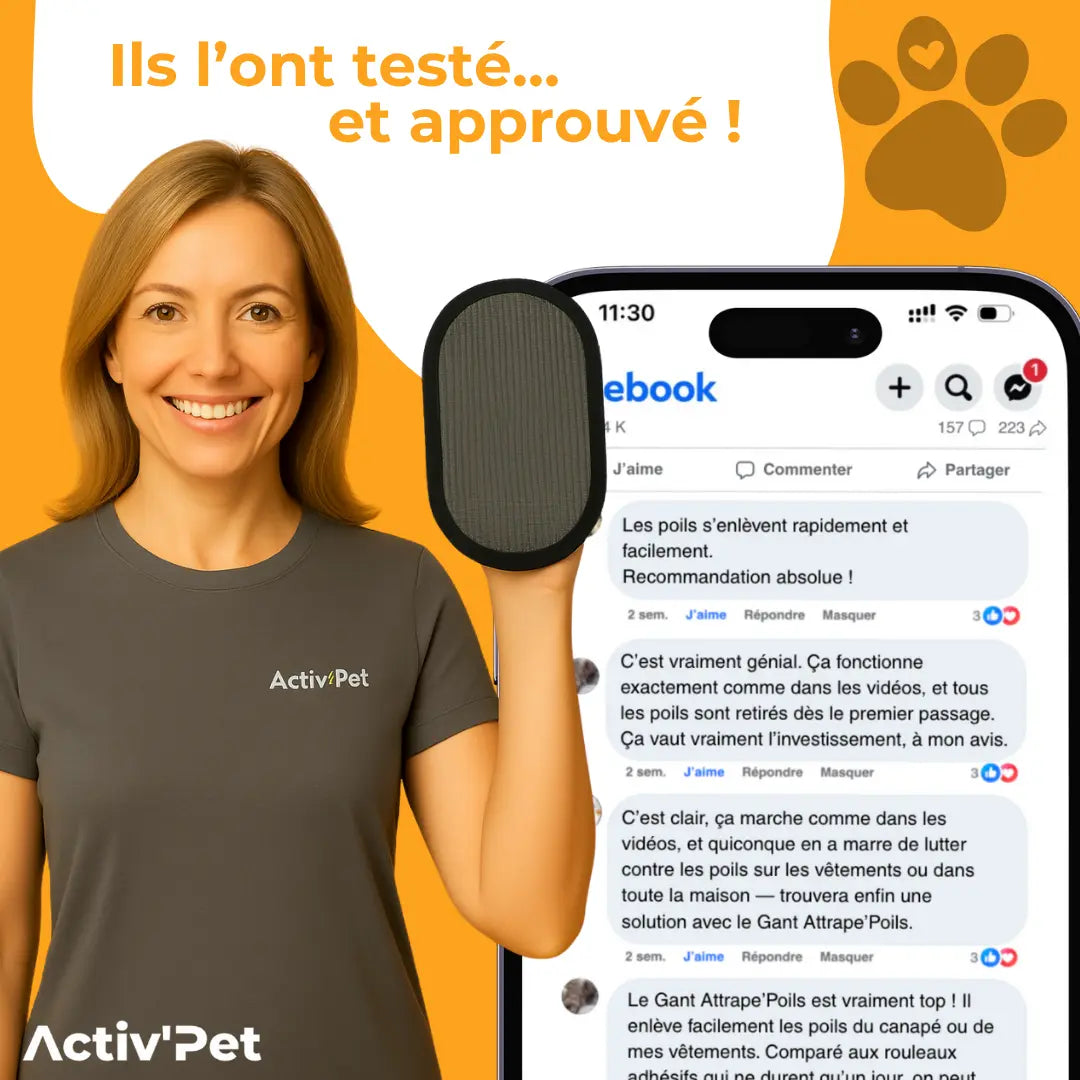Gant Attrape'Poils